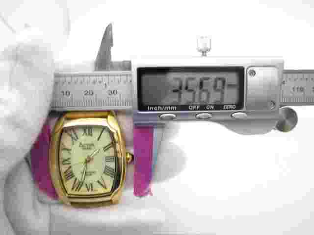 Women's Activa Swiss Quartz WR Analog Dial Causal Watch (F52)