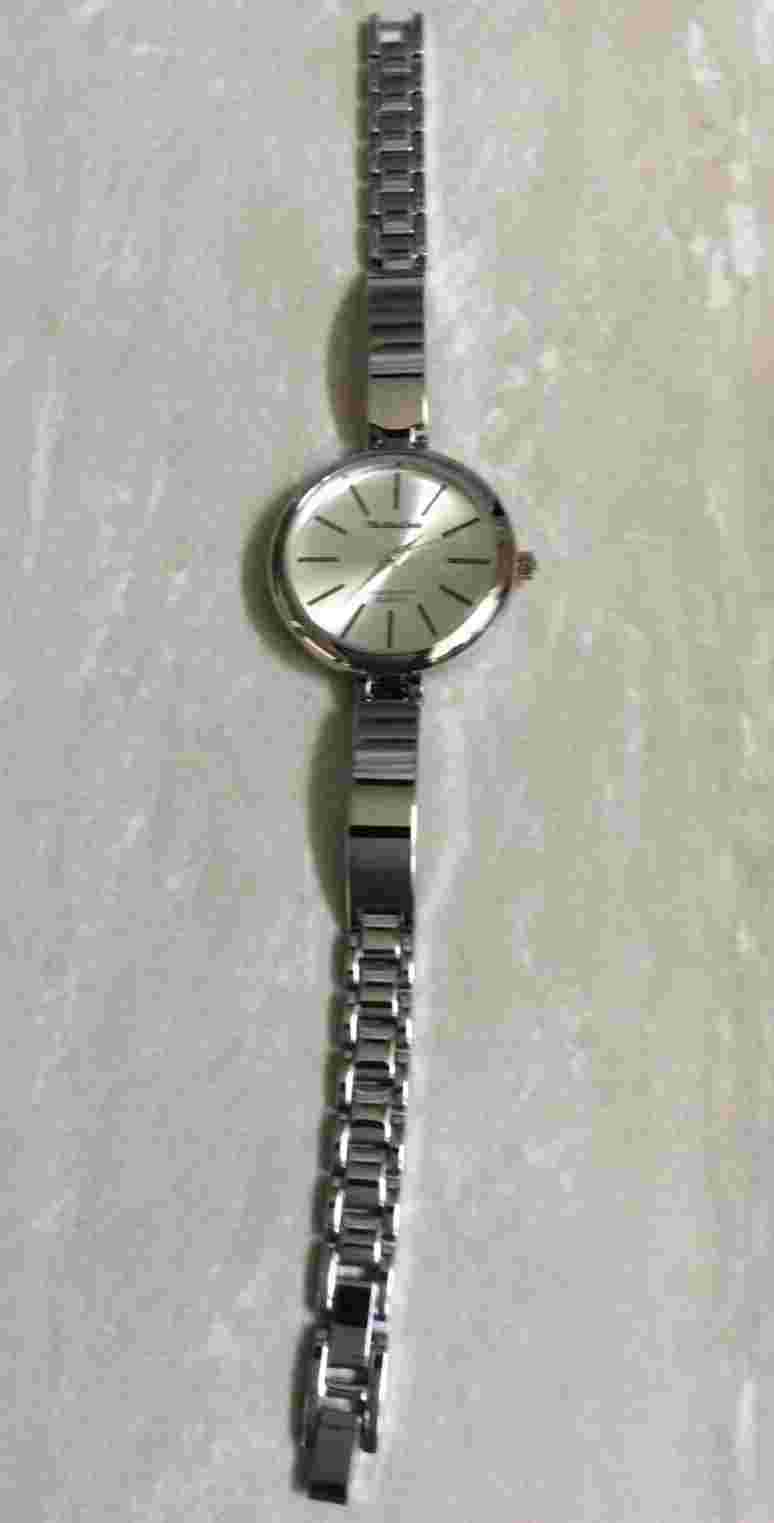 Montres Carlo Women Watch Silver Waterproof IP Round Silver Dial on Silver Band