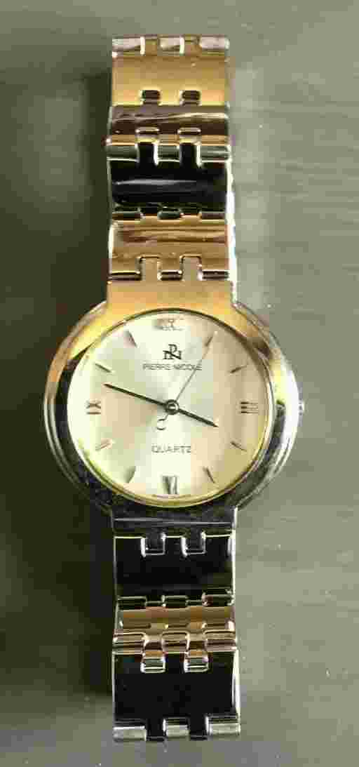 Piere Nicole  Stainless Steel Silver Swiss Men Watch