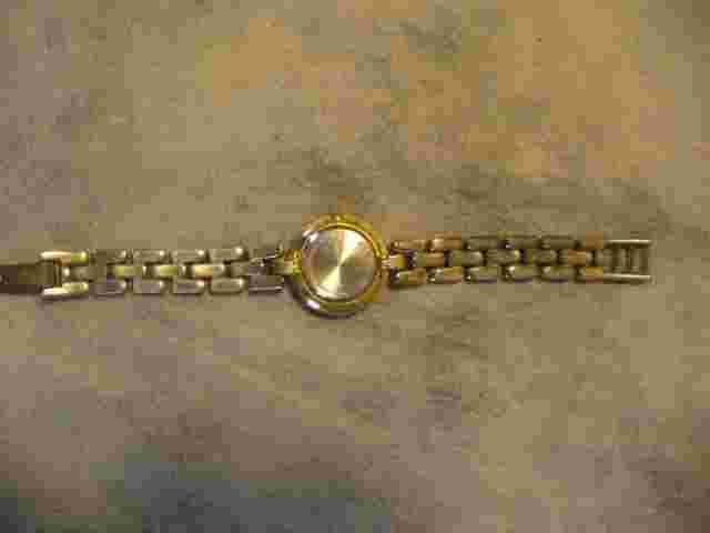 Alexander Julian Quartz Roman Numerals Watch with Metal Band