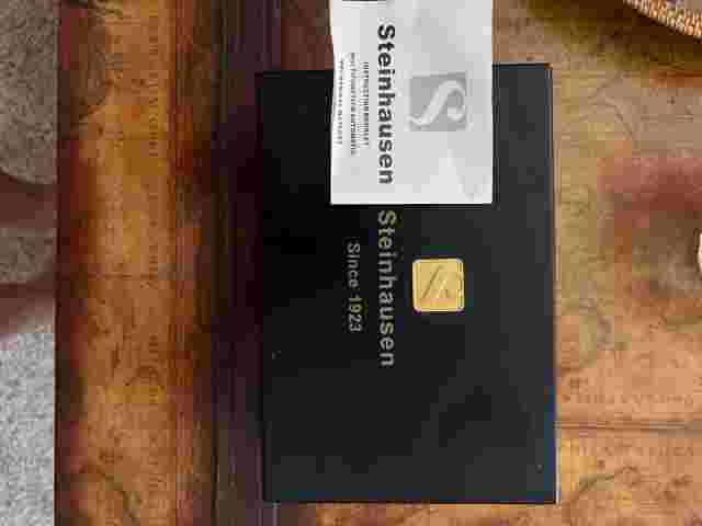 Steinhausen mens automatic watch