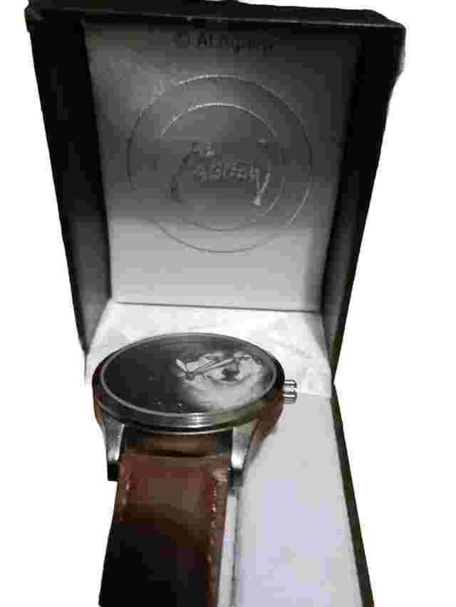 Al Agnew Watch Eyes Of The Night . New W/original Box.Bradford Exchange.New.