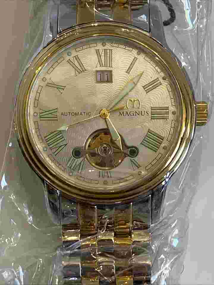 Magnus Melbourne M103MSS22 Automatic Mens Date Watch Luminous Hands And Markers