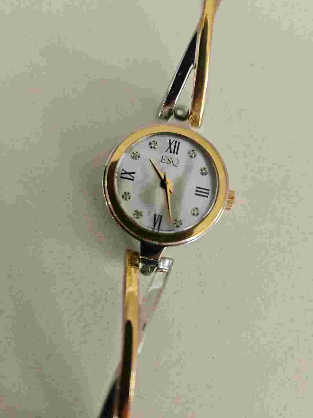 ESQ Swiss Watch Women Silver & Gold Tone Stainless Steel UNTESTED NOT WORKING