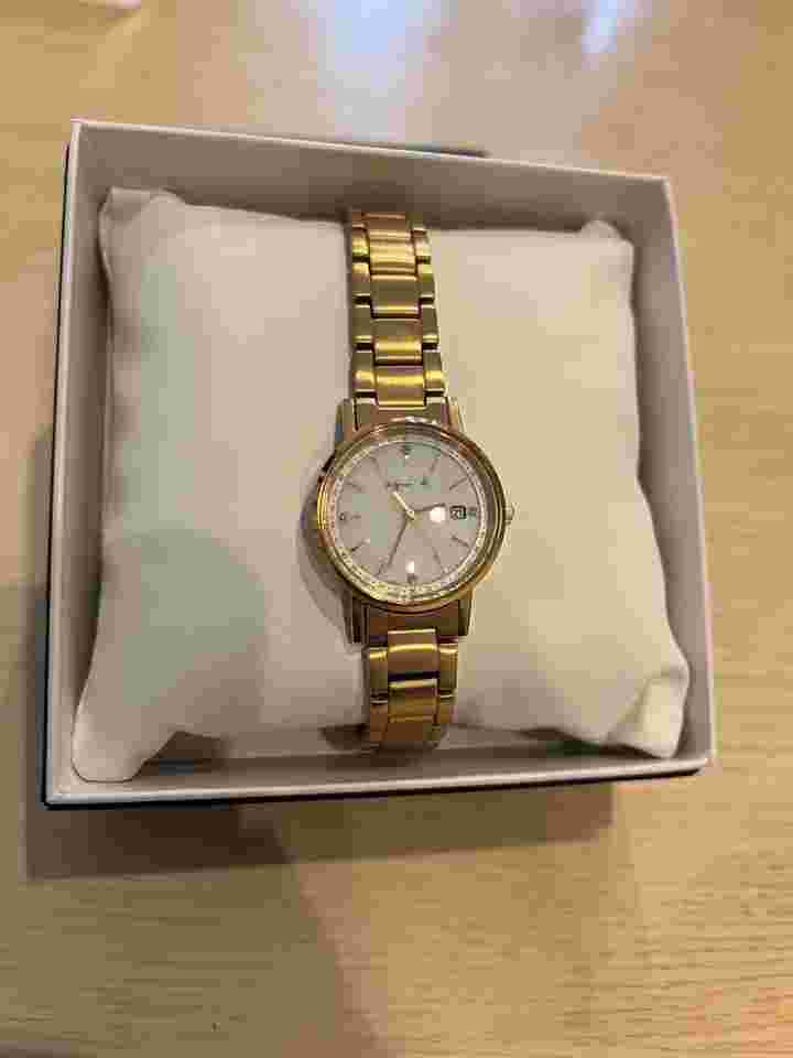 Agnes B. Watch Fbsd718