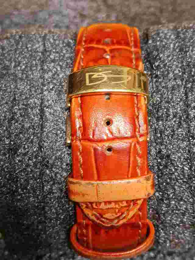 Daniel Steiger Mens Watch
