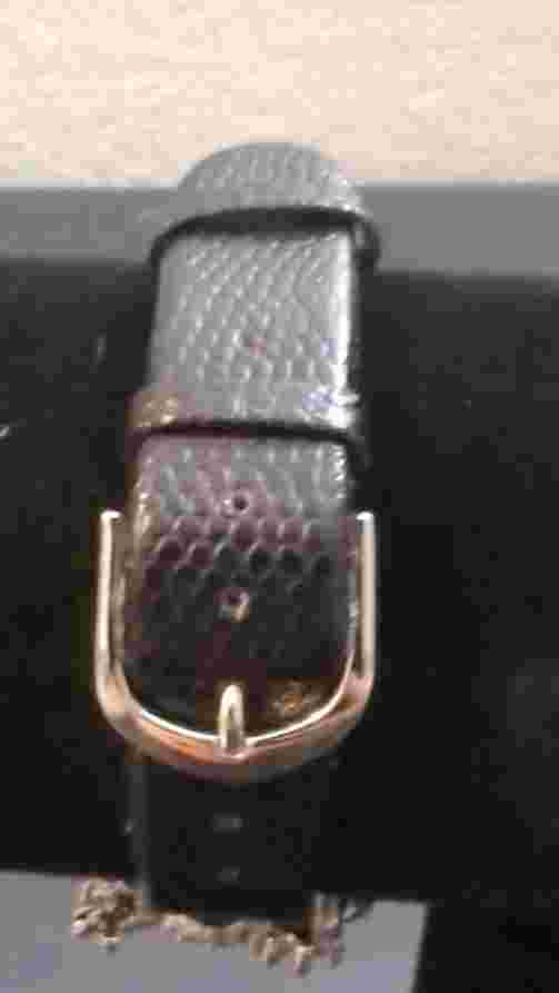 Suzanne Somers Frog Watch Rhinestone Hidden Face