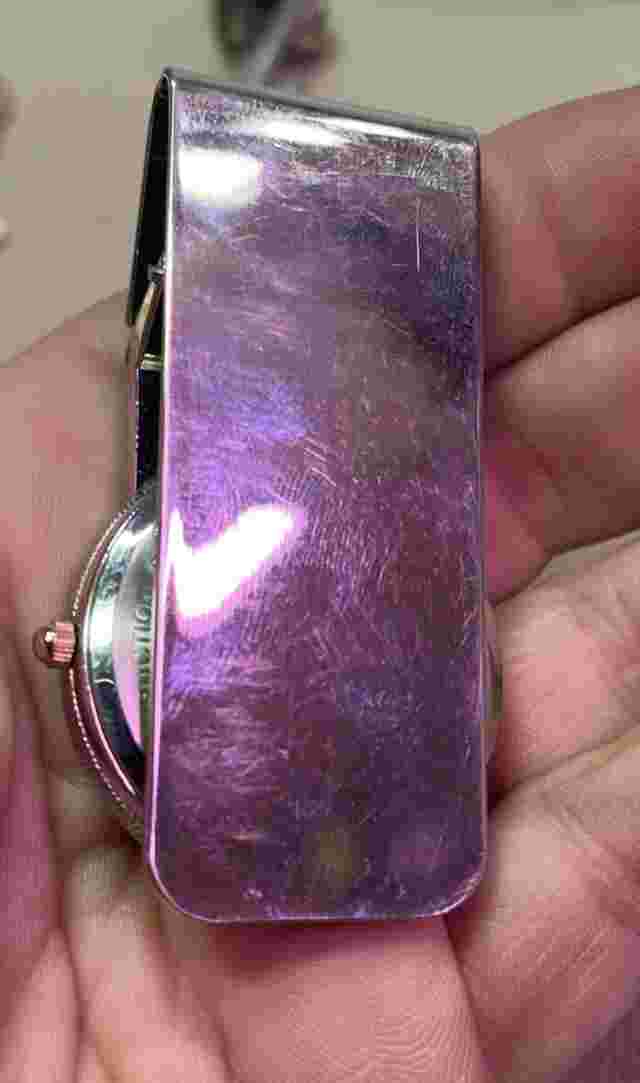 Field & Stream Quartz Belt Watch Pewter-Look Dog Labrador Face Untested Good