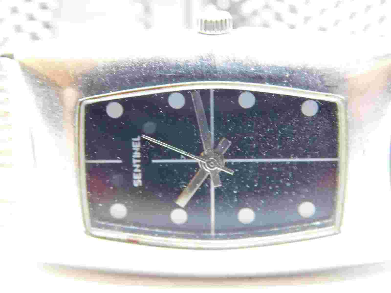 Sentinel America 1995 Silver Tone Quartz Analog Women's Watch New Battery