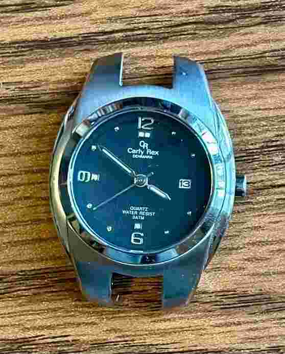 Carly Rex Denmark Quartz Water Resistant Men's Watch
