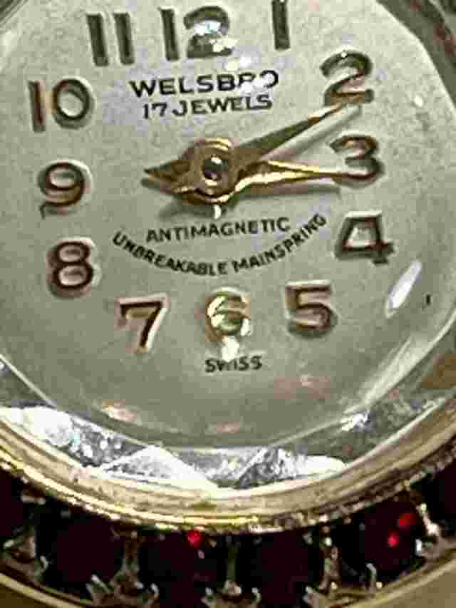 Welsbro Swiss Made 17j Red Rhinestone Pendant Watch Winds & Runs