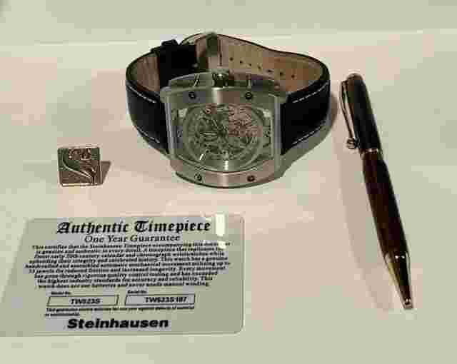 Steinhausen Men's TW523S Beethoven Automatic Skeleton Steel Watch
