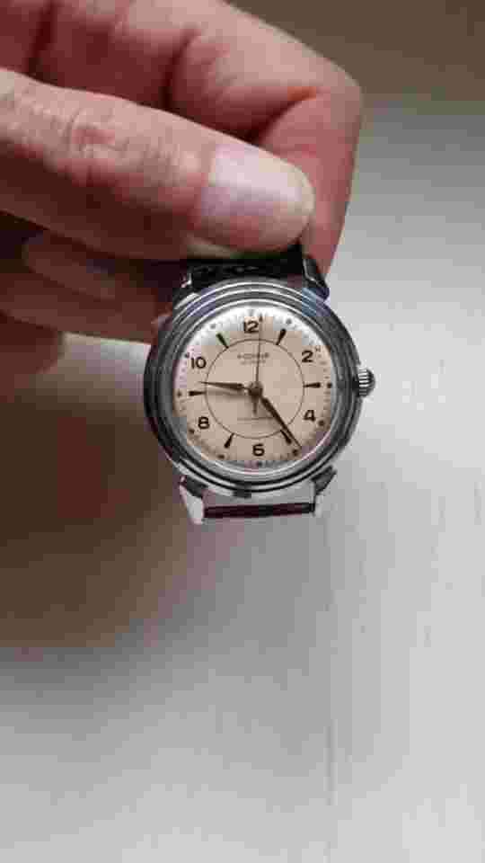 Vintage RODINA 22 Jewels Automatic USSR Made Rare Dial Watch