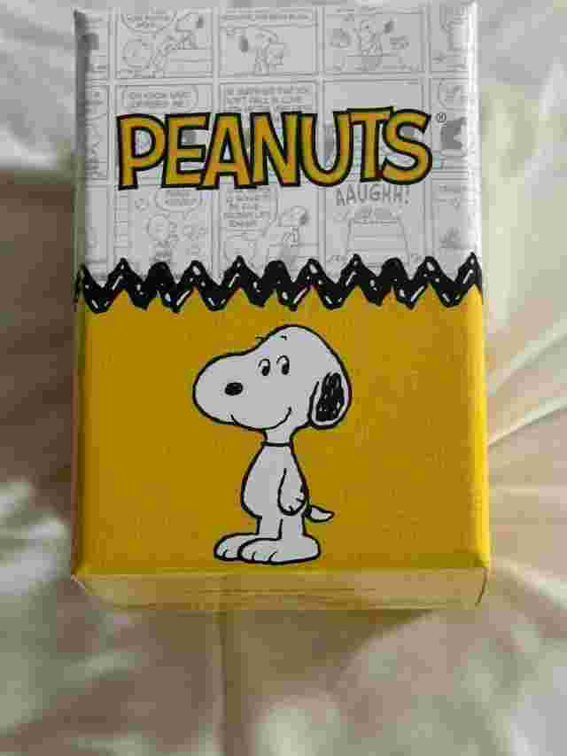 ACCUTIME  PEANUTS SNOOPY SPECIAL EDITION Snoopy On Dog House BRAND NEW!