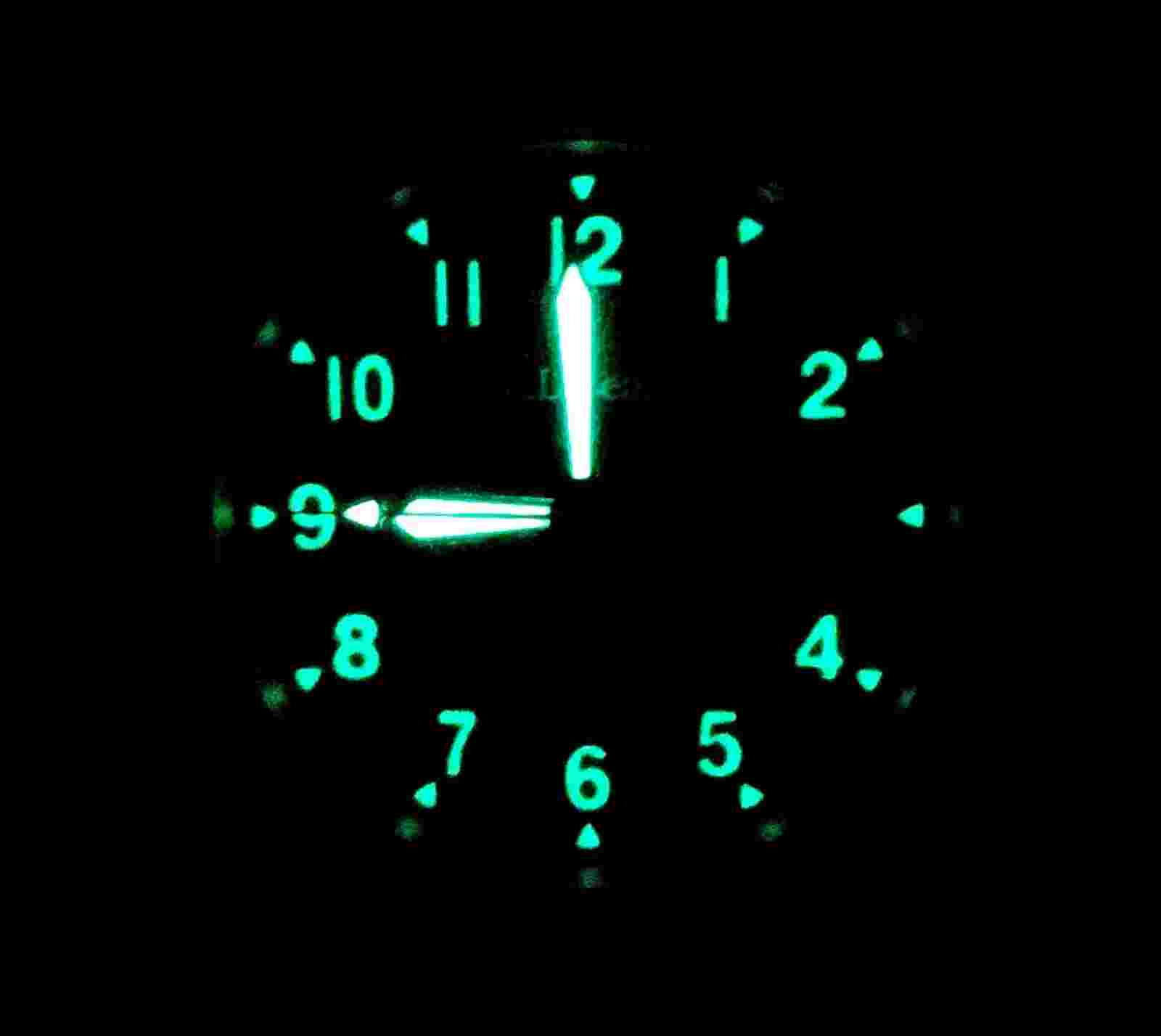 Women's SWISS Watch L.L.BEAN "Field"