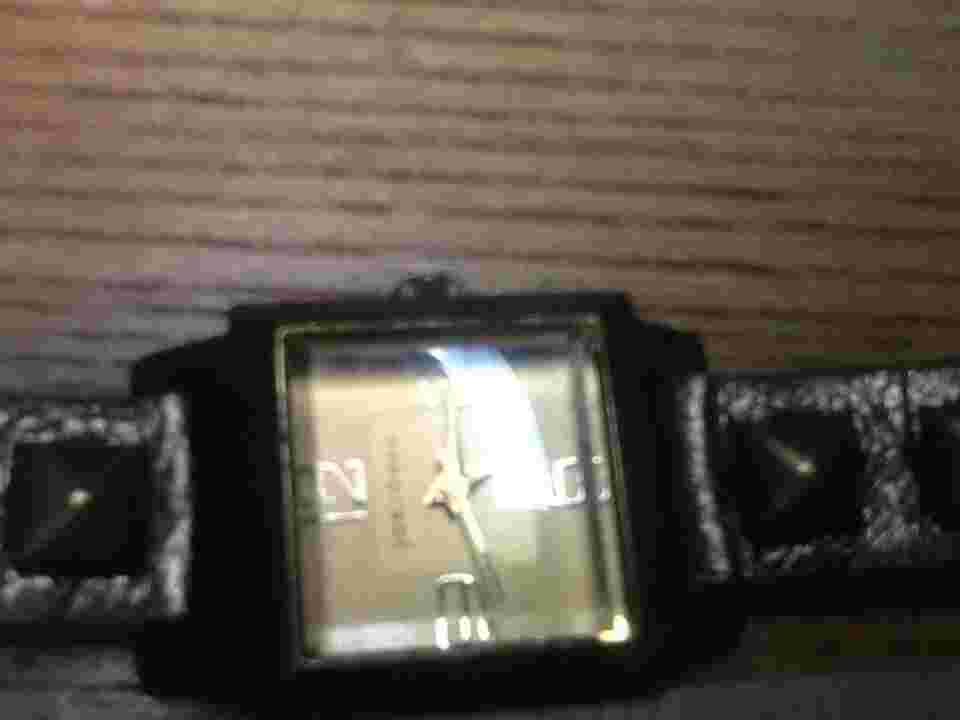 Tokyo Bay Ladies Watch | Working