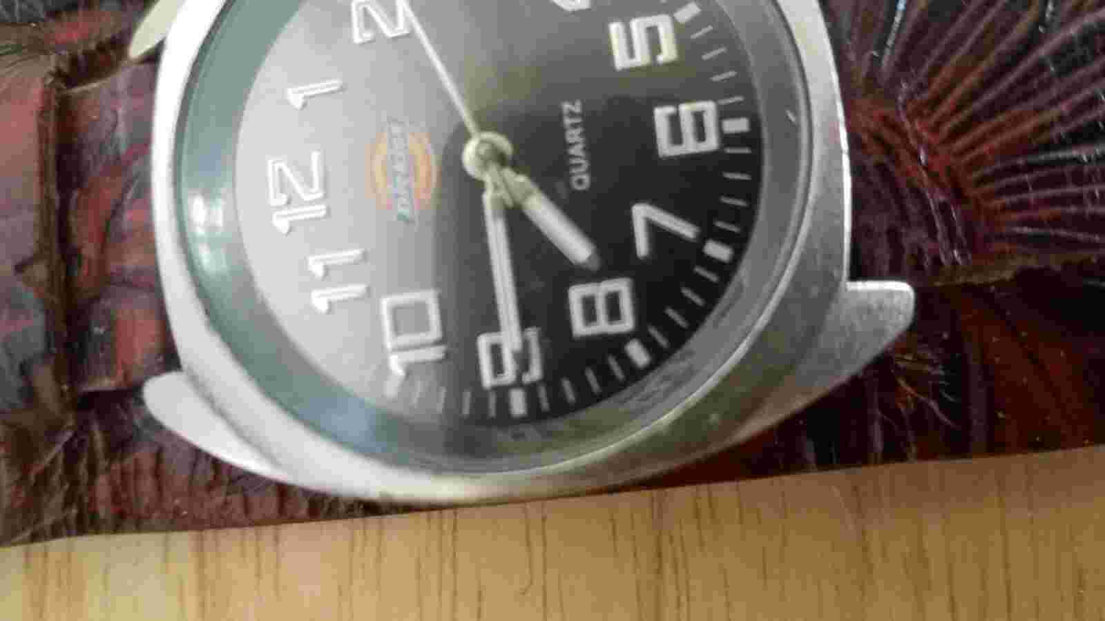 Vintage Dickies Quartz Watch DC21A Mvmt