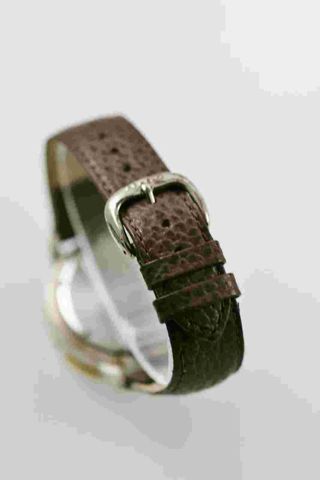 Sierra Club Watch Mens Stainless Silver Gold Leather Brown 30m Month Day Date