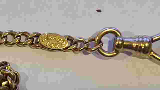Illinois Pocket Watch Bunn Special 14K Tri Color Gold Hunter Case Model 9, 16S