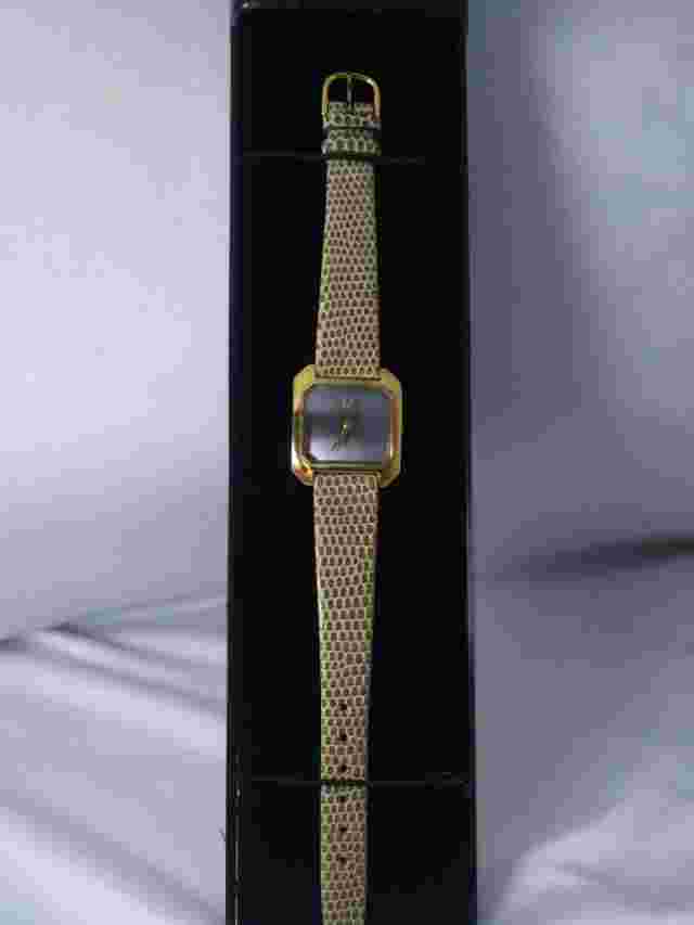 Vintage Charles Jourdan Paris wrist watch for women (Beige/Grey and Black)