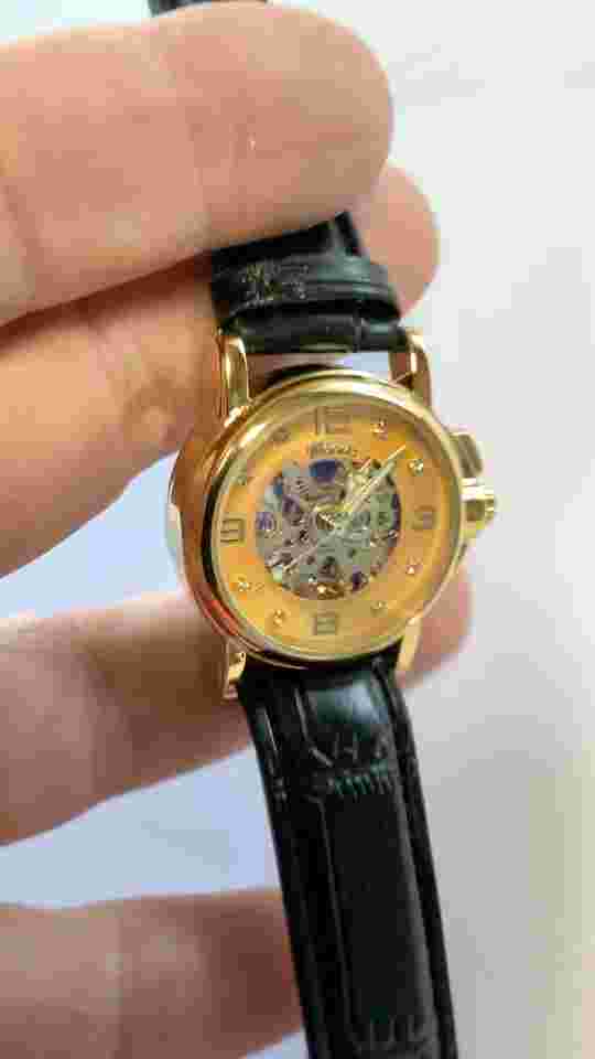 Womens Automatic Transparent Skeleton Luxury Leather Band Ladies Watch Gift Idea