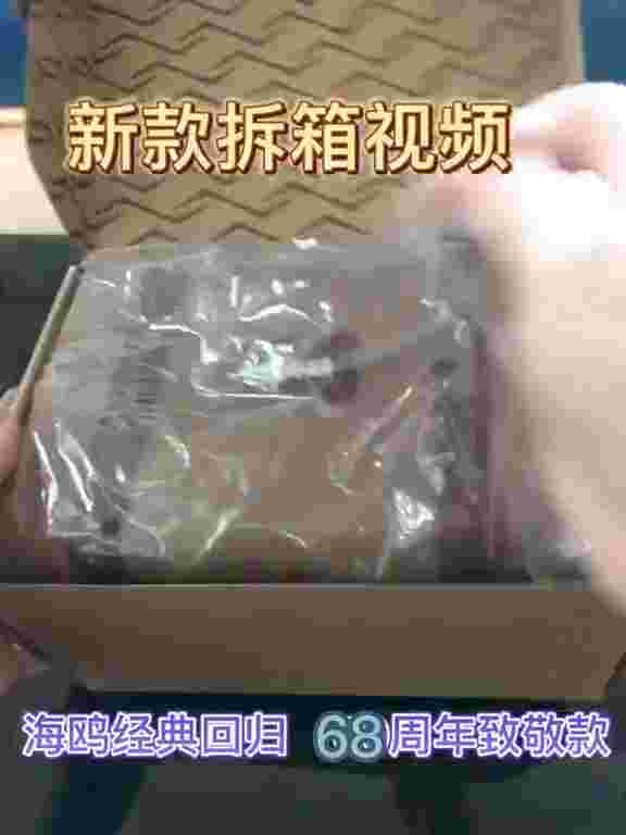 Sea-Gull 1963 Manual Winding Chronograph 40mm in 316L Stainless Steel Case