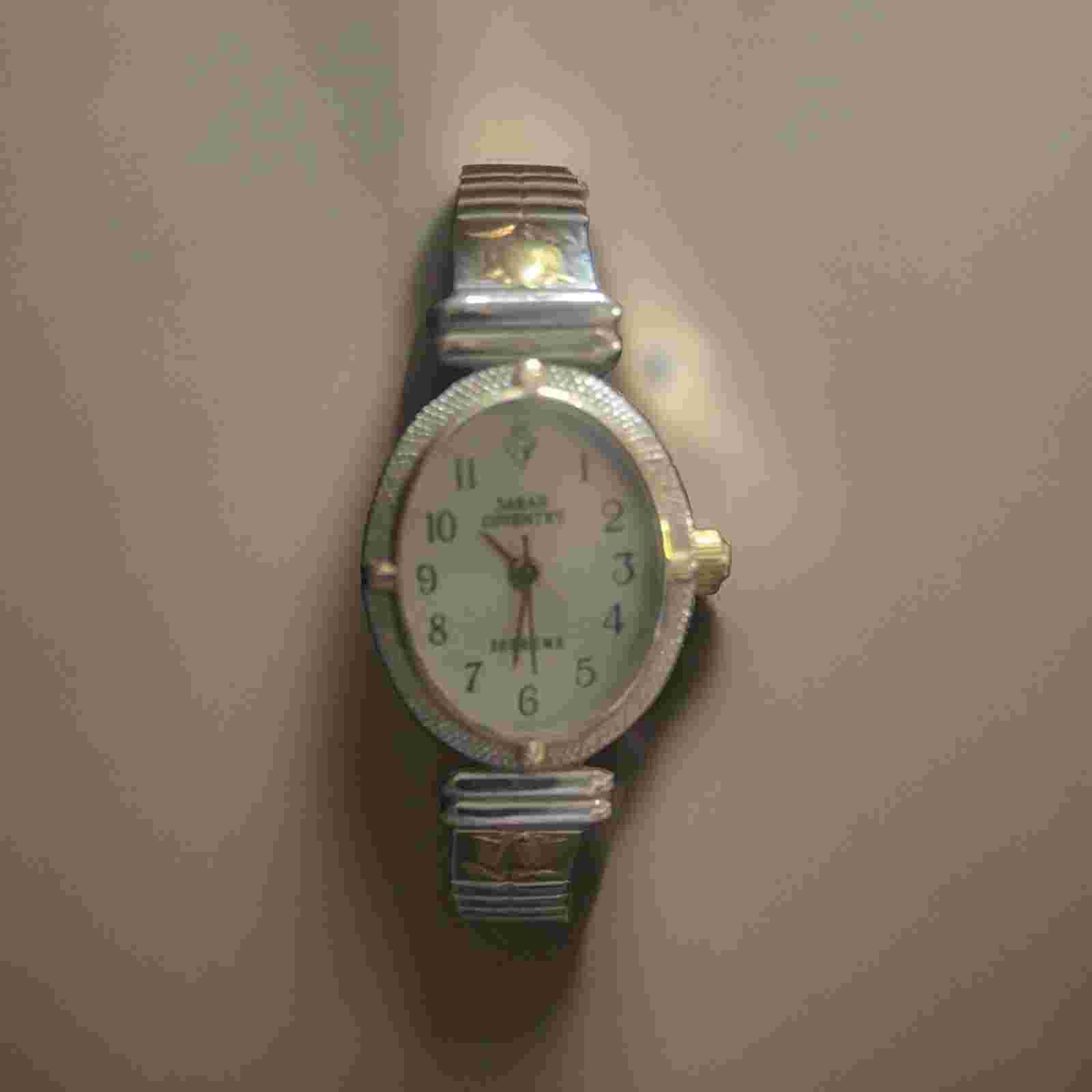 Sarah Coventry Women’s Watch LSS041 Flex Stainless Steel Band