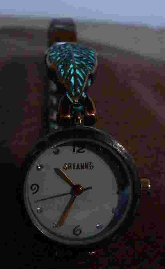 Shyanne Western Watch Copper tone Rhinestone with leaf design and stretch band