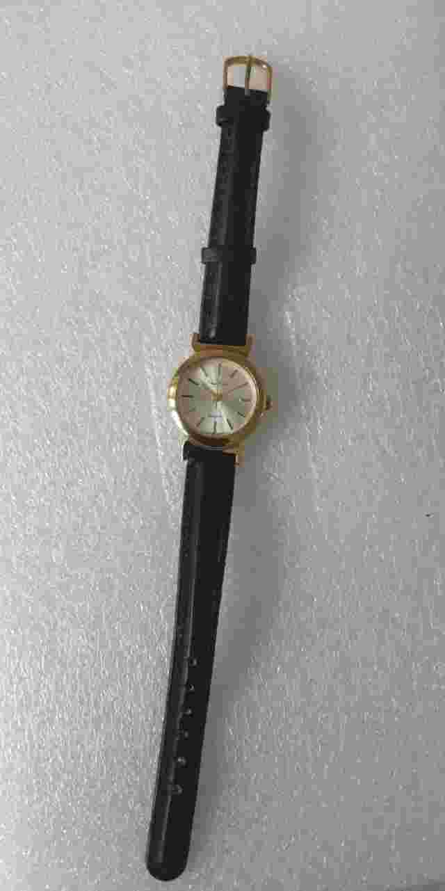 PIERRE NICOL Ladies Beautiful Quartz Watch
