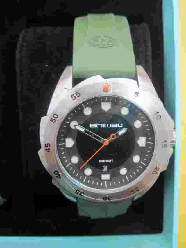 ANIMAL Z42 WATCH IN BOX NEW OLD STOCK IN COLLECTOR CONDITION NO LONGER AVAILABLE