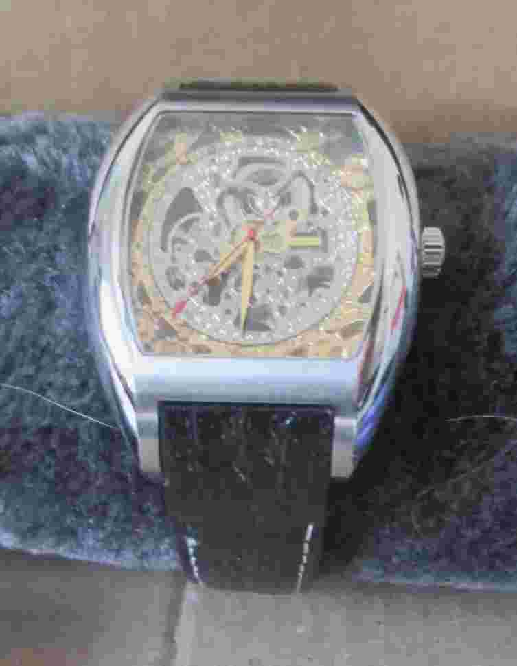 Steinhausen Men's Analog Automatic Watch TW1302RGSRG Beethoven 2 Swiss Vtg AZJ