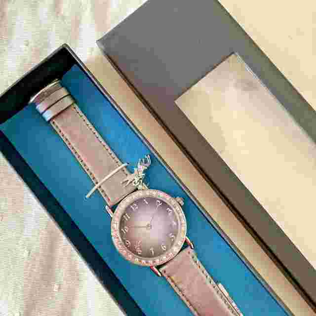 Paris Hilton Womens Watch Fairy Dust with Charm New In Box