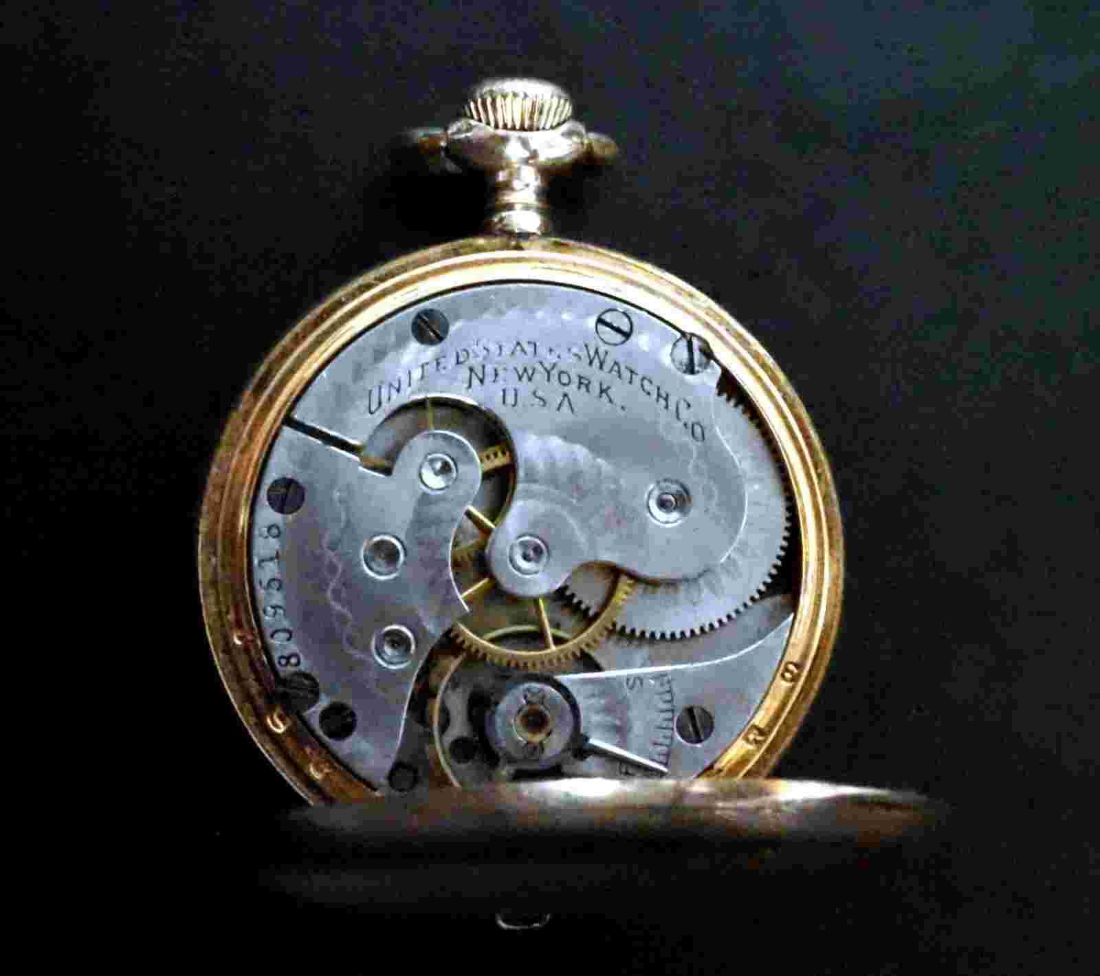 B&B royal case United States Watch Co pocket watch Floral Dial