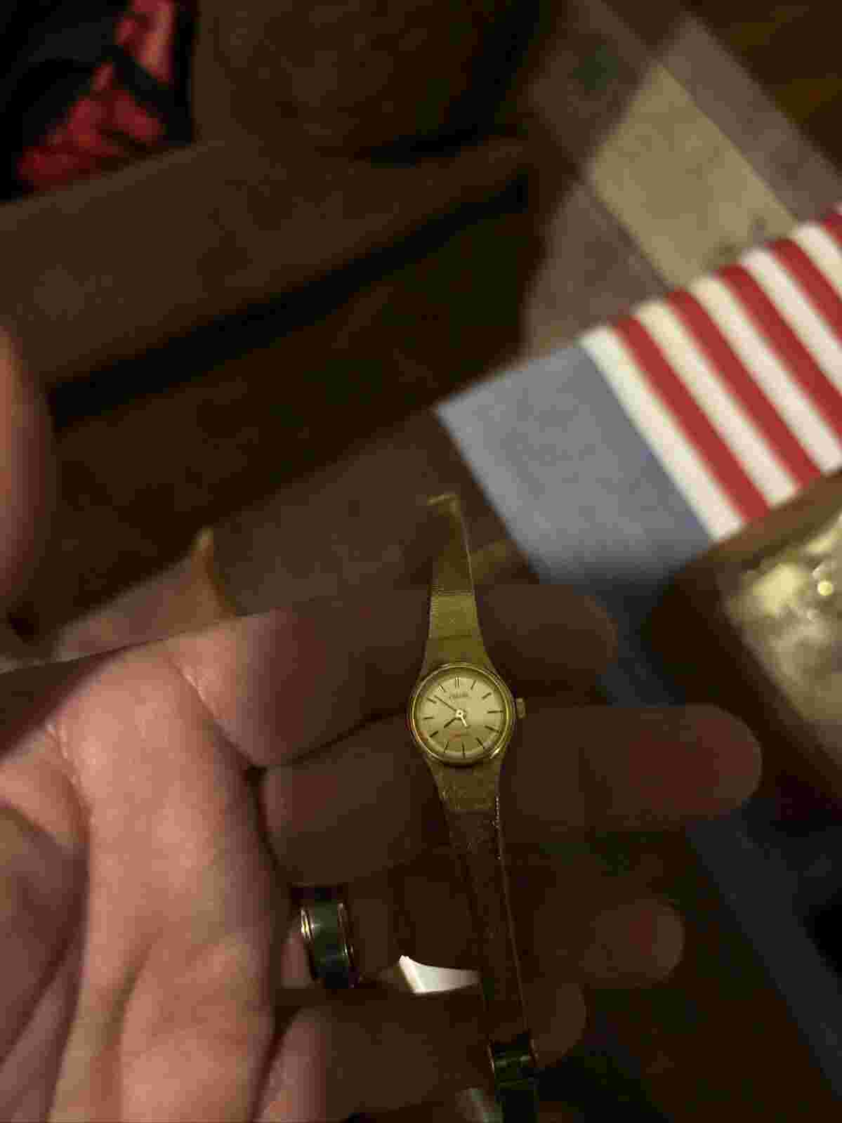 PHASAR SEARS ROEBUCK Vintage Women's Watch Gold Tone Y480-0030 Quartz 19 mm