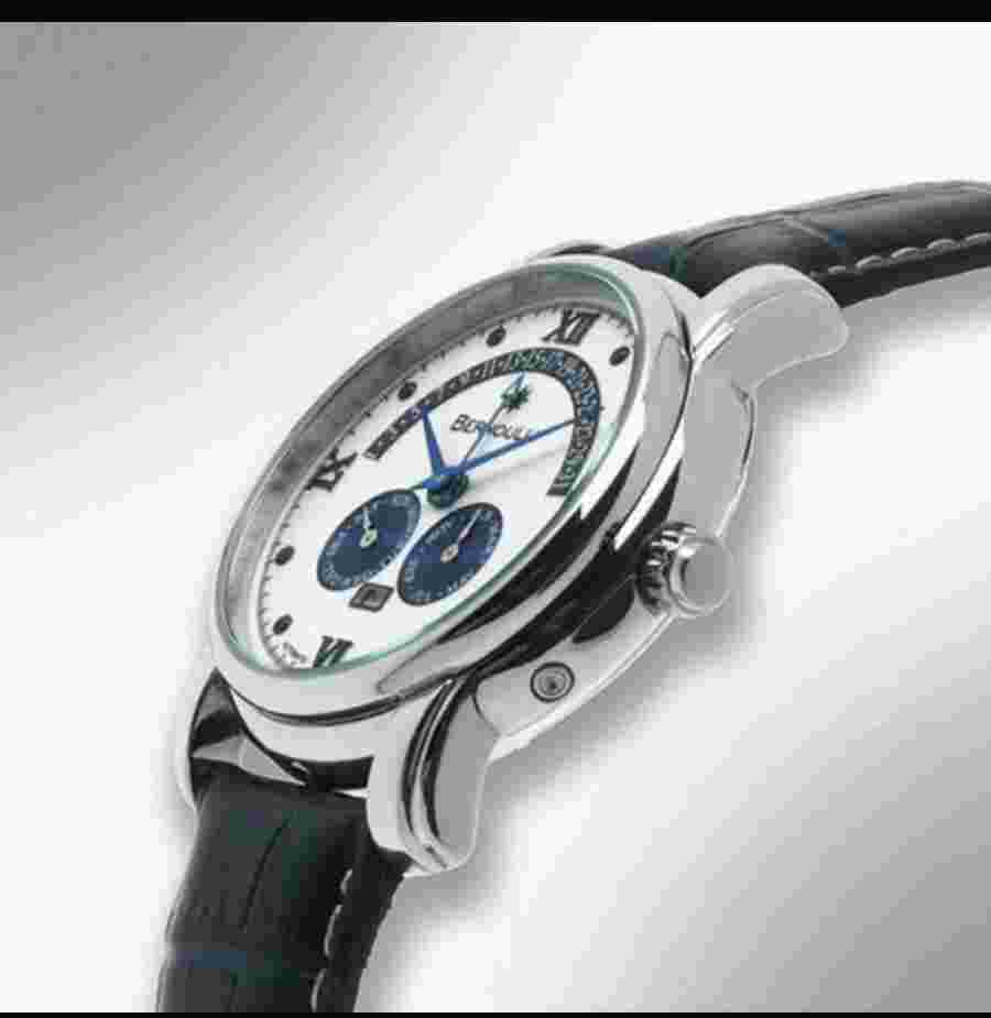 New BERNOULLI autom/White-copper Dial/Choose1/retrograde Day/ 2 only 1 on ebay)