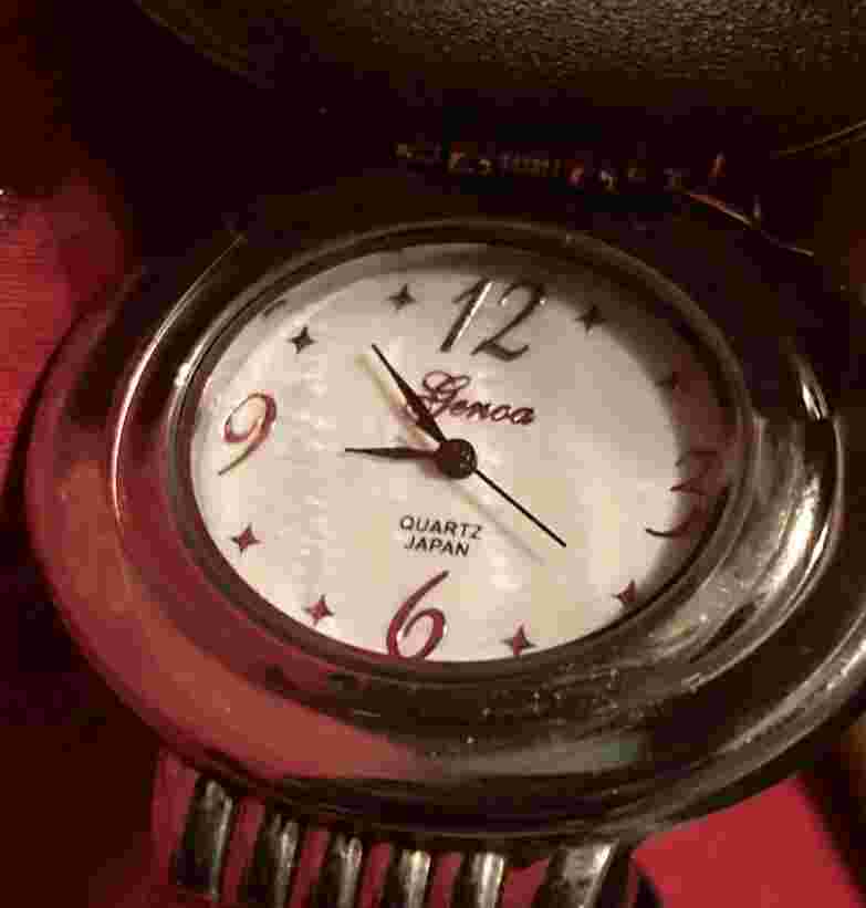 Vintage Genoa Quartz Japan IP Silver Plating Watch