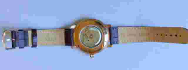 Automatic Swiss Watch Men Grovana