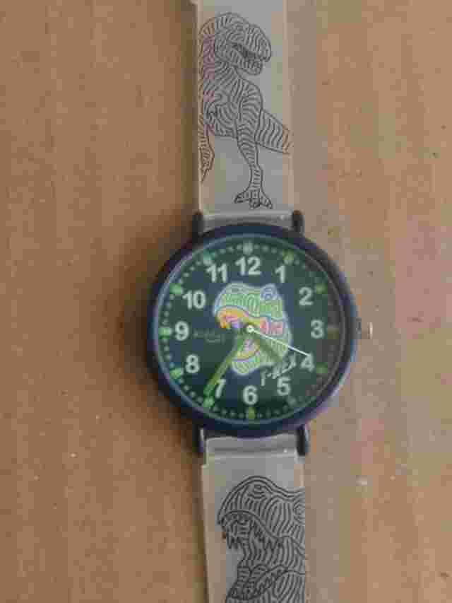 Kiddus Quartz Kids T-Rex Dinosaur Wristwatch Water Resistant