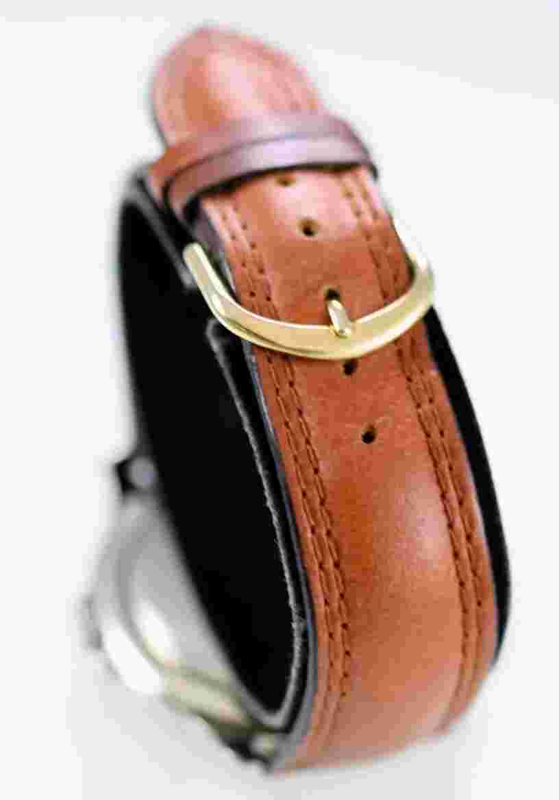 Sierra Club Watch Men Stainless Silver Gold WR Brown Leather Date Green Quartz