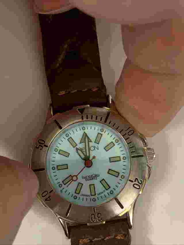 Women’s Sasson Lunaglo Watch