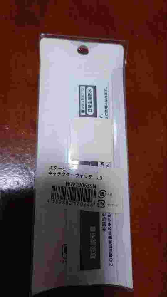 Snoopy Peanuts Watch Charlie Brown No Battery from Japan