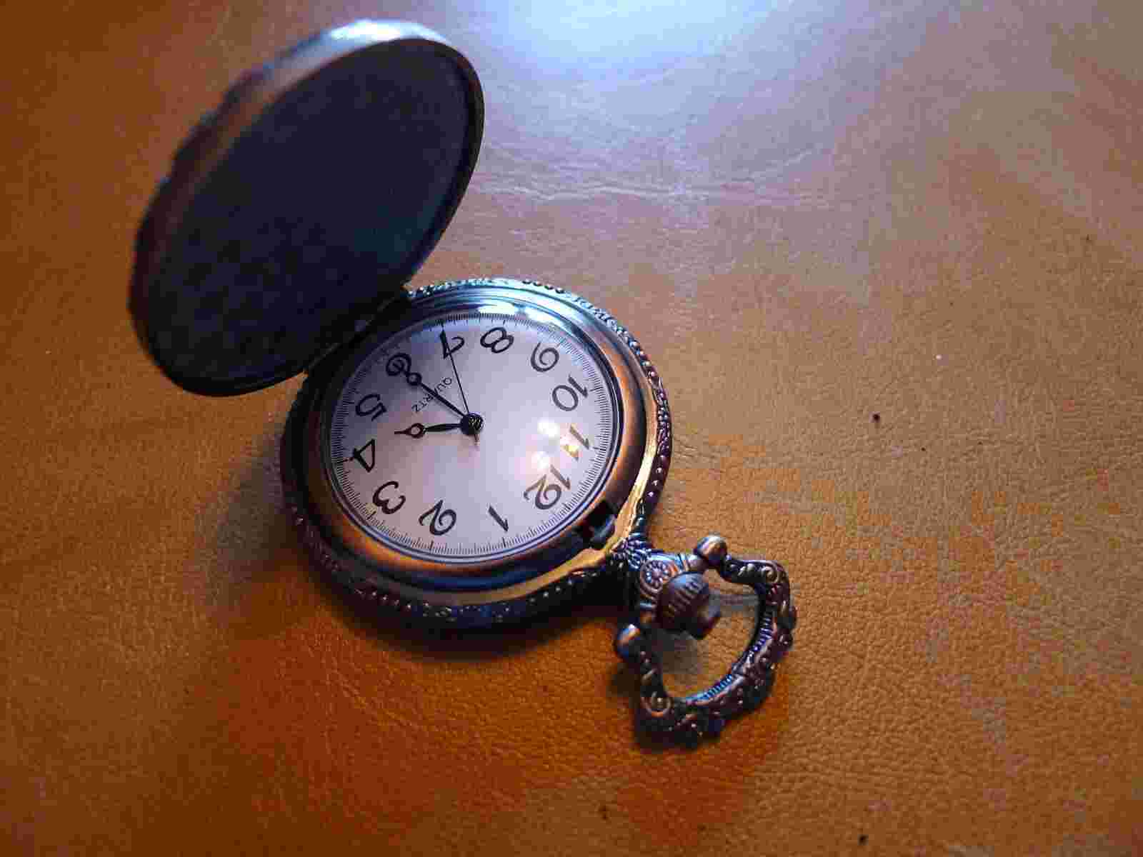 NEW.. Bronzed Horse Trio  Qtz Hunter Pocket Watch...GWC.