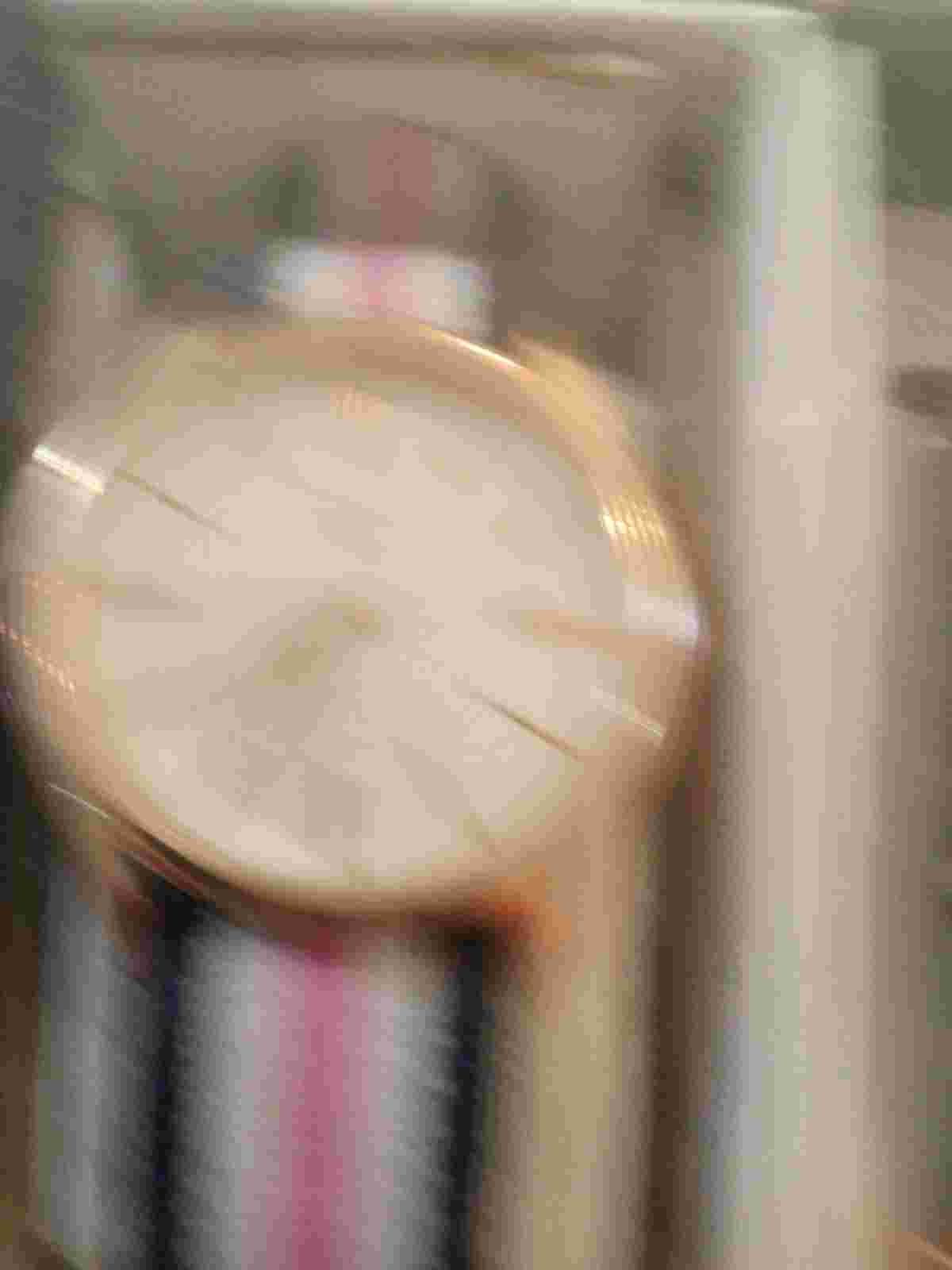 Prince And Fox watch Old New Stock