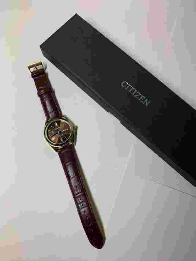 Citizen Watch 258 Reguno Sharex Club La Mer