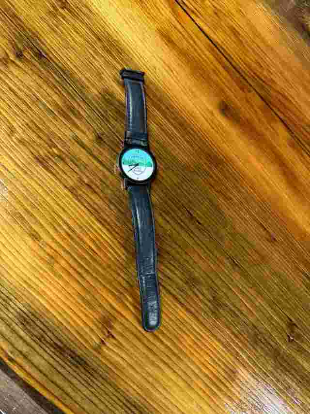 Oregon State Parks Logo Infinity Watch, Leather Band - Unisex - New Battery