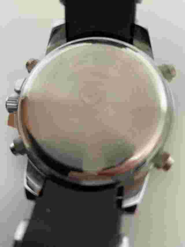 shark sport watch (mens)