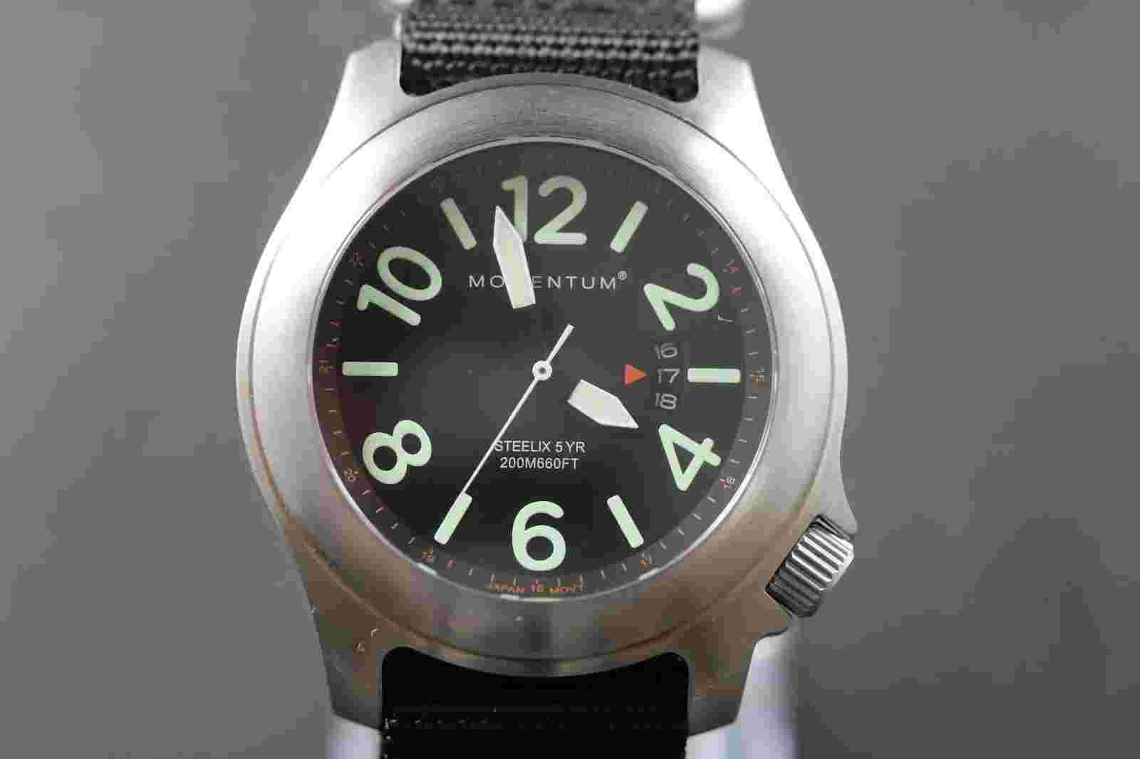 Momentum Steelix 5YR –– SS - Quartz