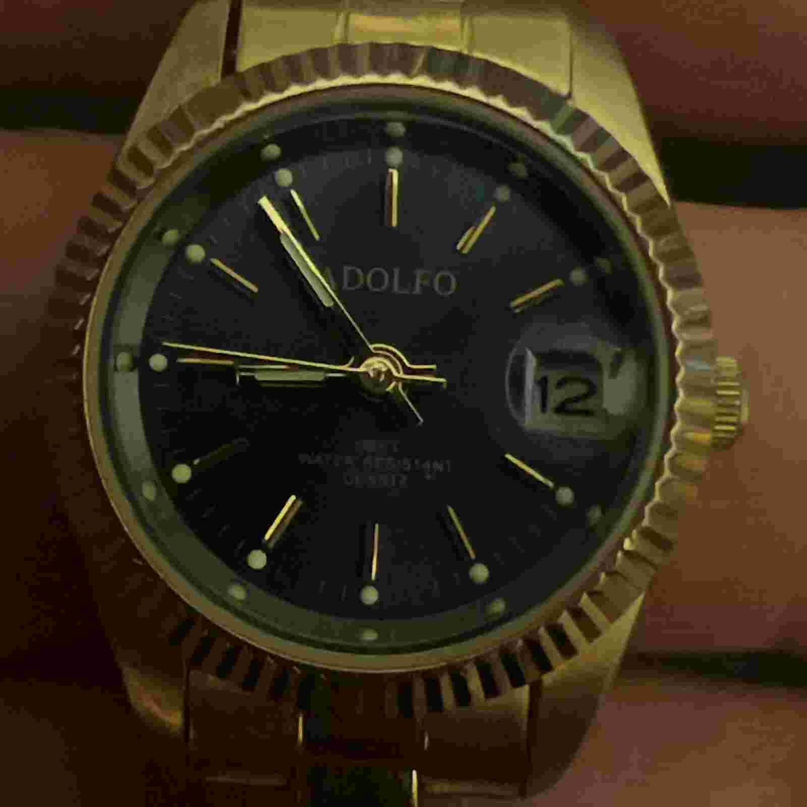 Ladies PAOLO GUCCI (Designed by Paolo Gucci) Adolpho Gold Tone Watch New Battery