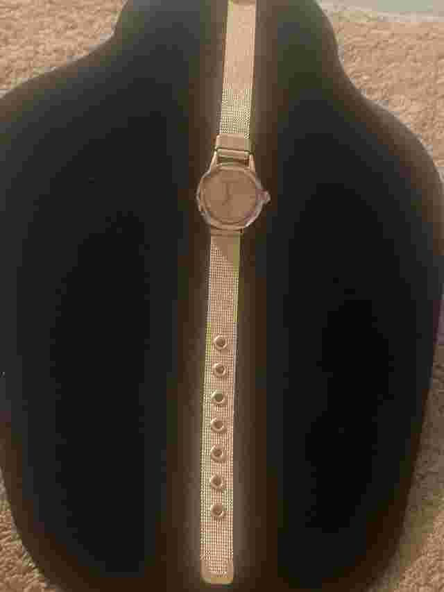 Ellen Tracy Ladies Watch