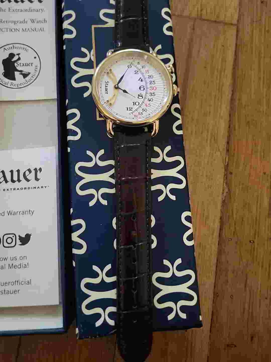 STAUER MYSTERY JUMP CRAZY HOUR WATCH, RETROGRADE COOL UNIQUE BEAUTIFUL RARE Case